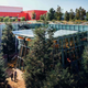 Illustration for article titled Facebook's New Office Looks Like a Tree House Built by an Incompetent Dad